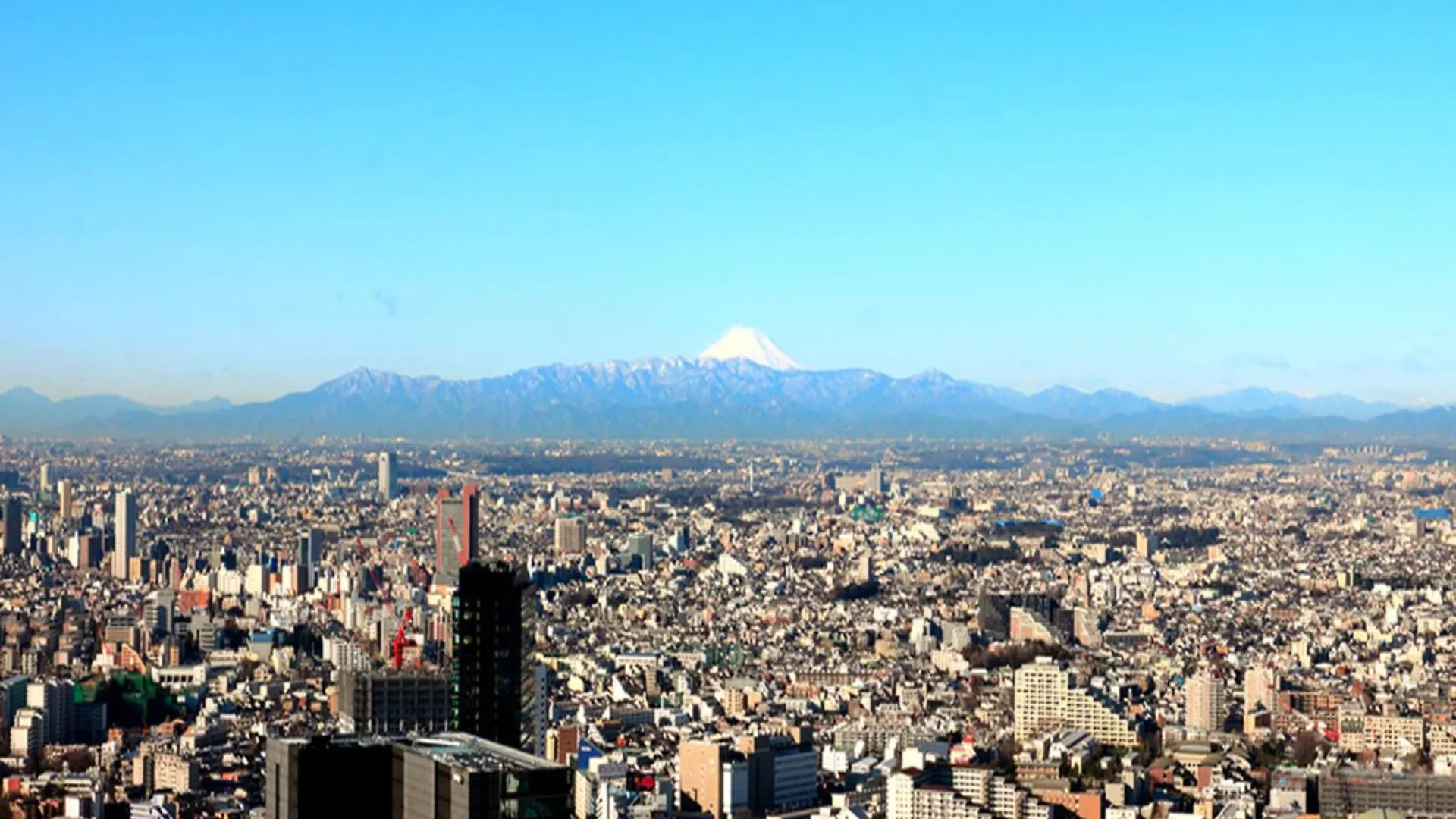 Cerulean Tower Tokyu Hotel, A Pan Pacific Partner Hotel Tokio