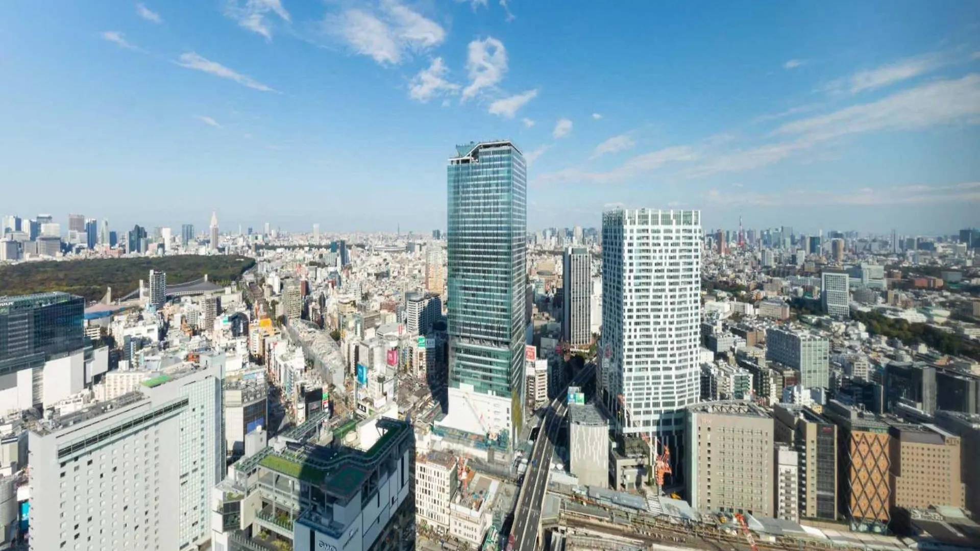 Cerulean Tower Tokyu Hotel, A Pan Pacific Partner Hotel Tokio 5*,