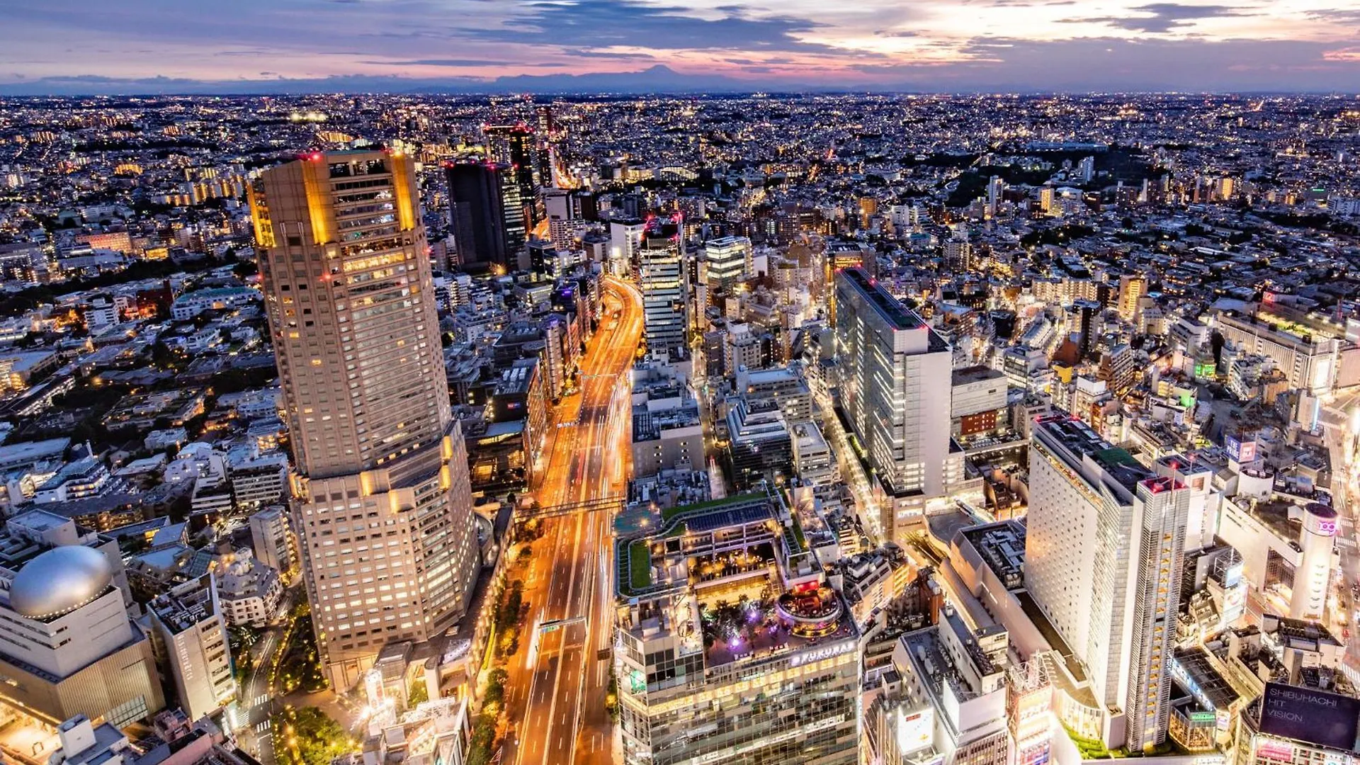 Cerulean Tower Tokyu Hotel, A Pan Pacific Partner Hotel Tokyo