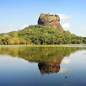 https://sunshine-resort-spa-sigiriya.kandyhotelsnow.com