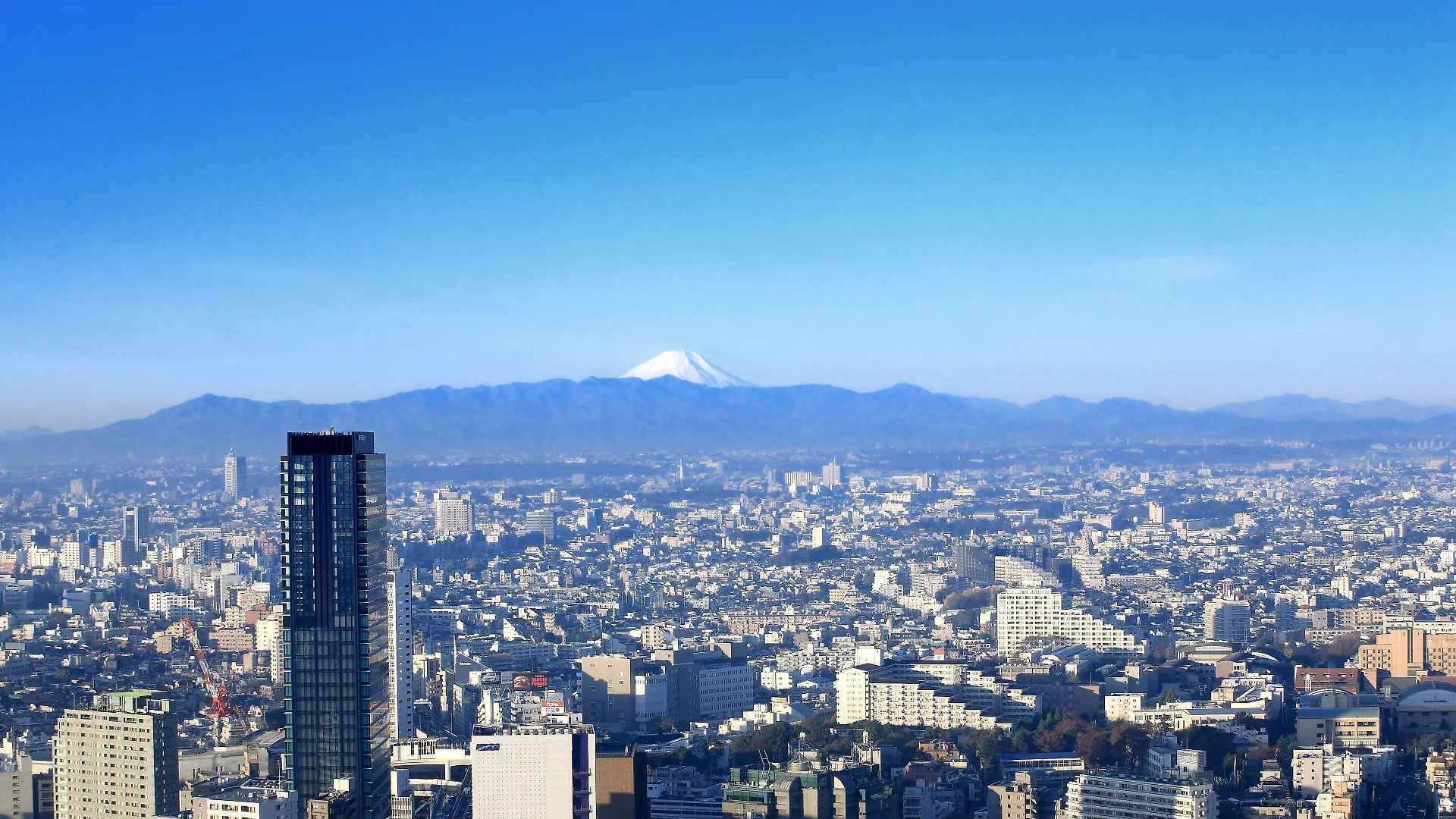 Cerulean Tower Tokyu Hotel, A Pan Pacific Partner Hotel Tokyo prefektur