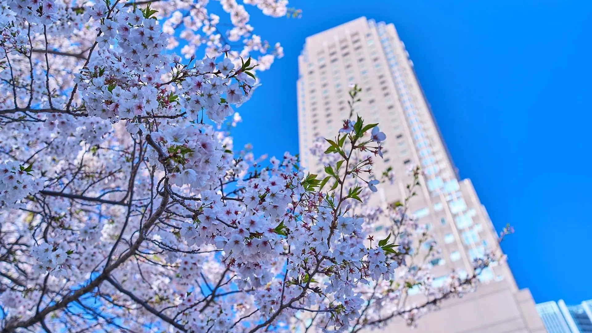 Cerulean Tower Tokyu Hotel, A Pan Pacific Partner Hotel Tóquio